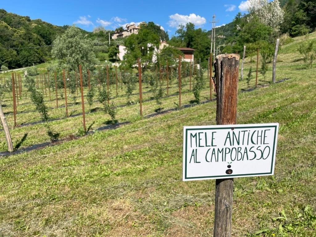 Agriturismo Fattoria Togonegro Villa Marostica Exterior photo